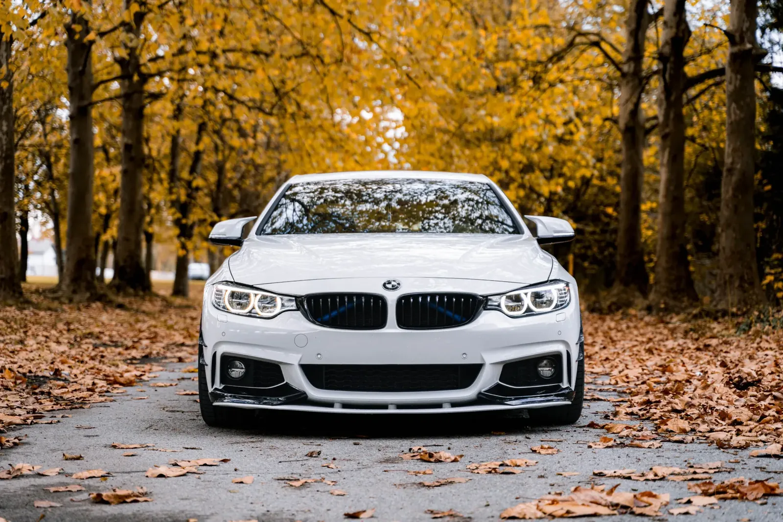 BMW vehicle